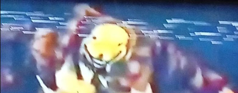 Тыквенный Кролик 666💀☠️