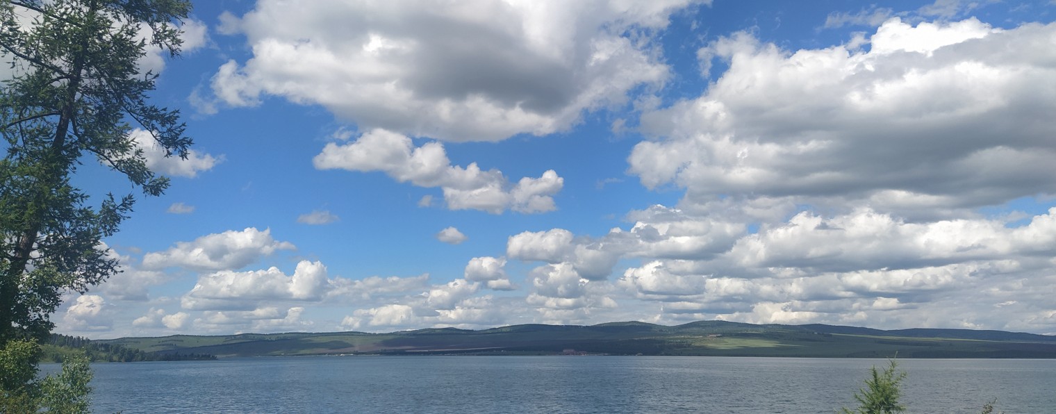 Светлана Цисневич