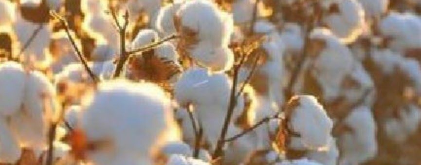 Уроки Саиды для детей