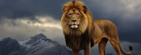 Красивые нашиды