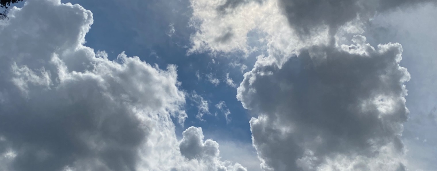 Идущая за мечтой