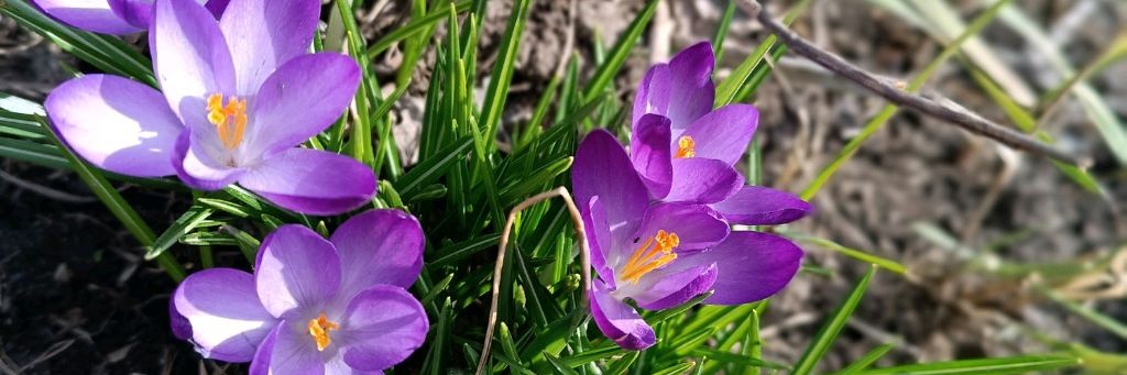 Lenok Fly 🧚🧚🧚