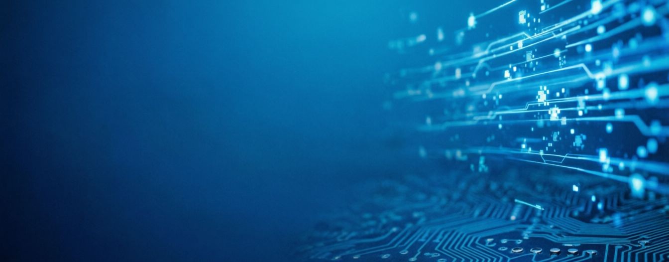 информатика в роликах