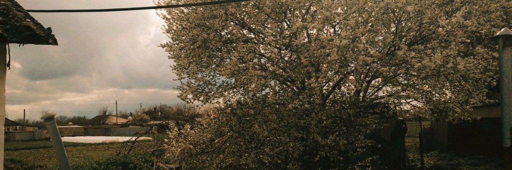 •Sunny||Санни•