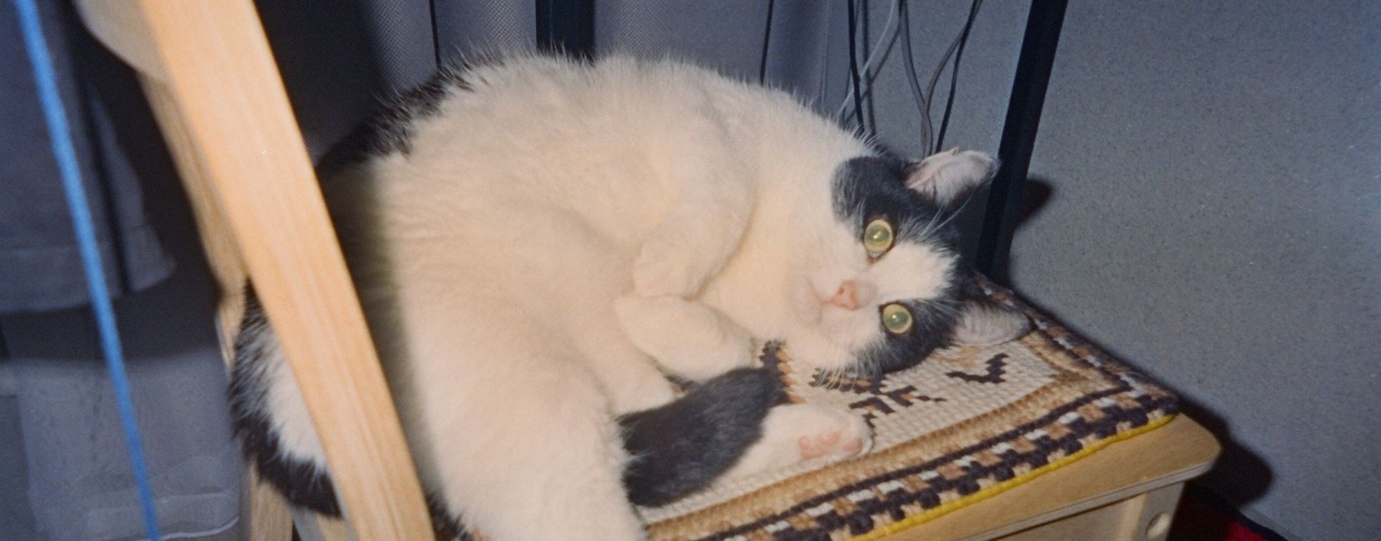 Никита Демин