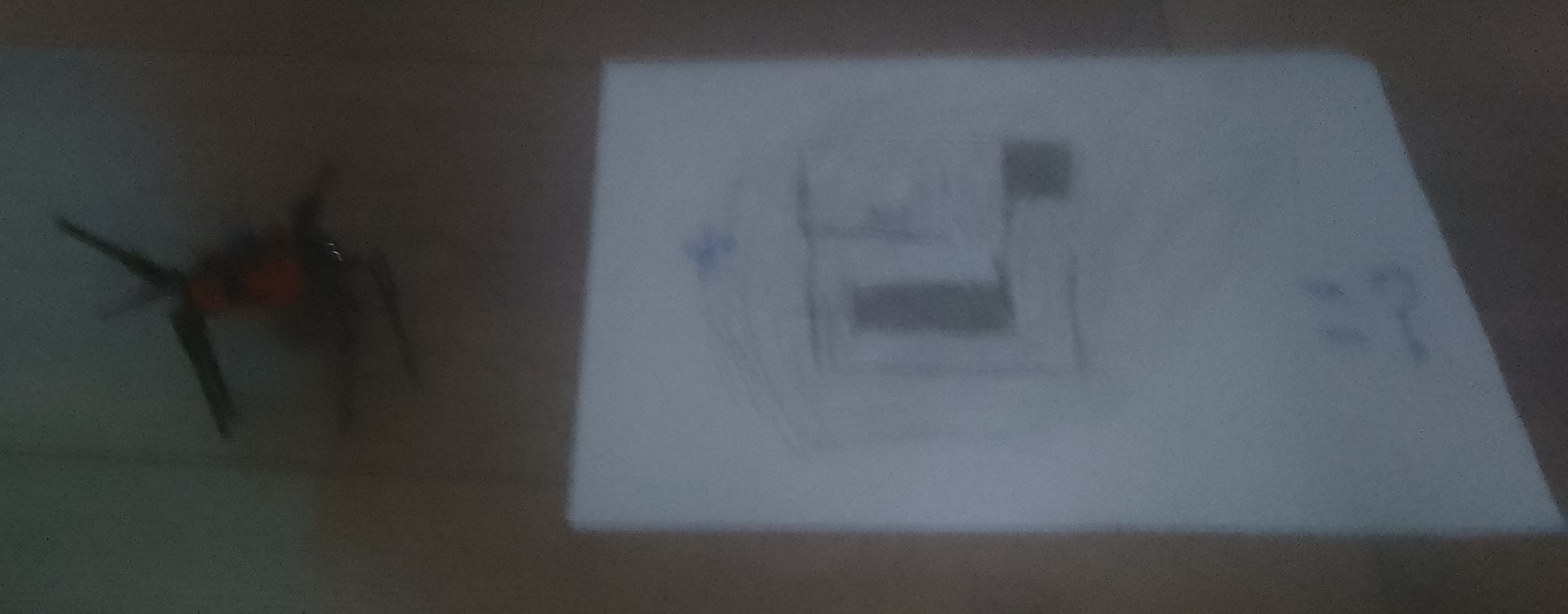 насекомые и космос