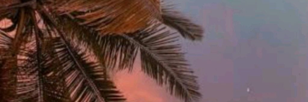 🍵 AeshlyOffical🤍