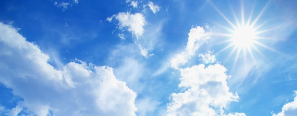 Бредни Магистра