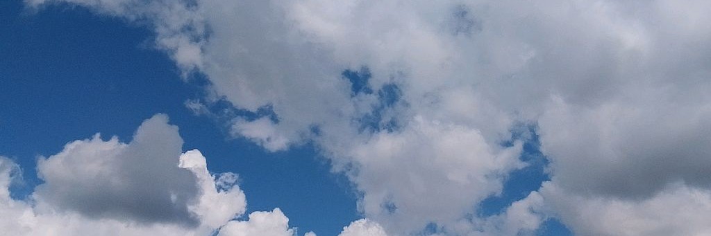 Стариченко Ксения