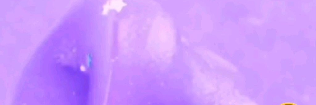 Яблочко-кот