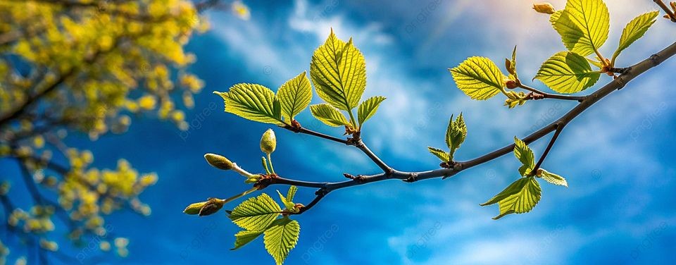 Алексей Инвентаров.