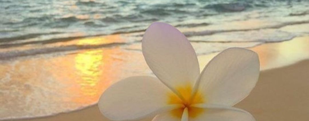 𐙚Your Auroraᵗ᷒ᰰ