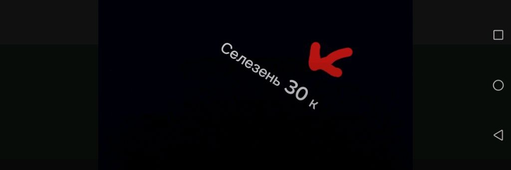 Селезень 30 K