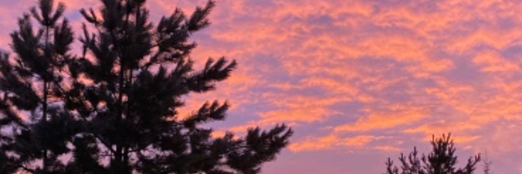 ୨୧ ⋆ Mika ୨୧ ⋆