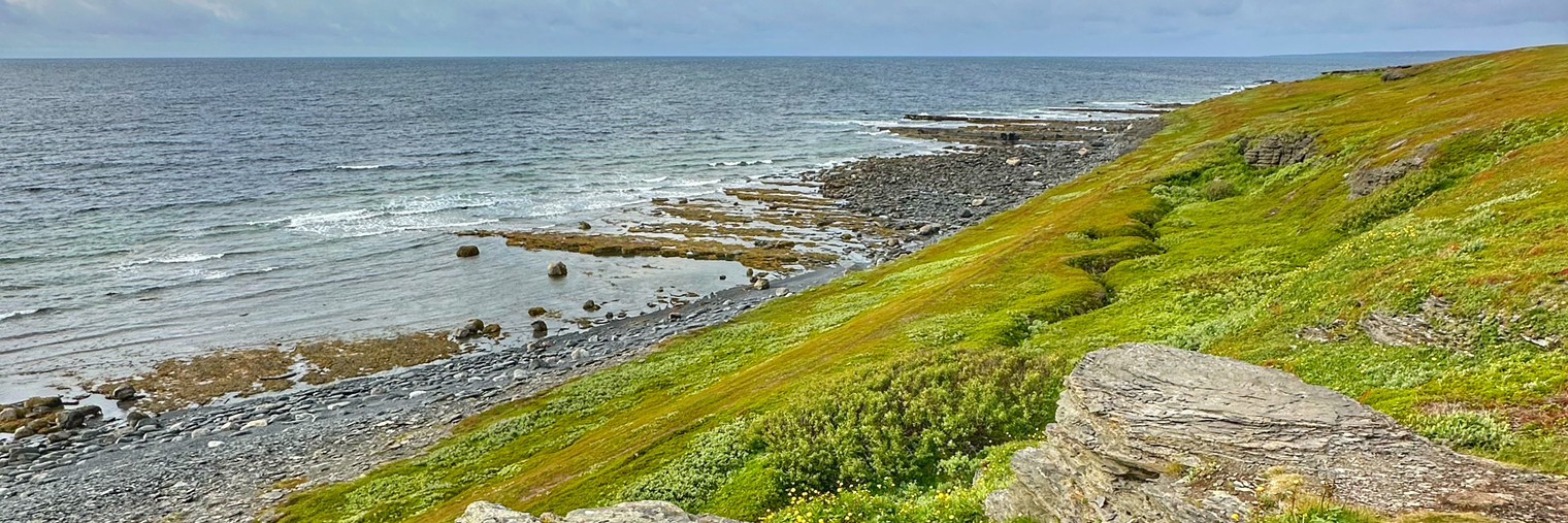 Патрицио10RUS