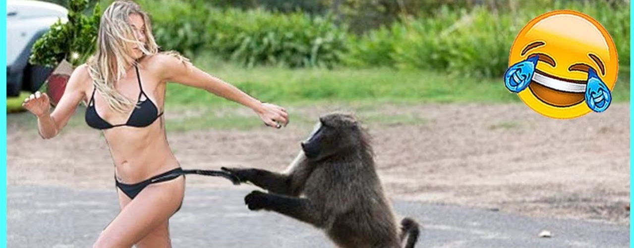 Смешные видео подборки