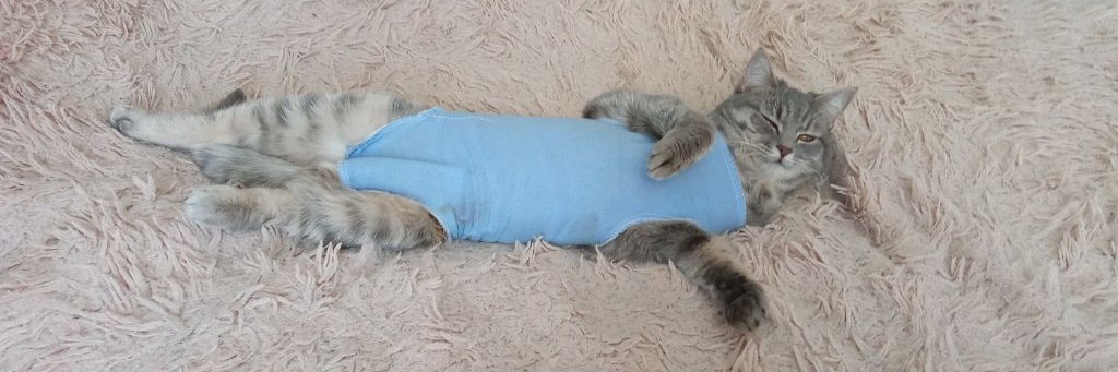 Арина 🌃🌄наготочки