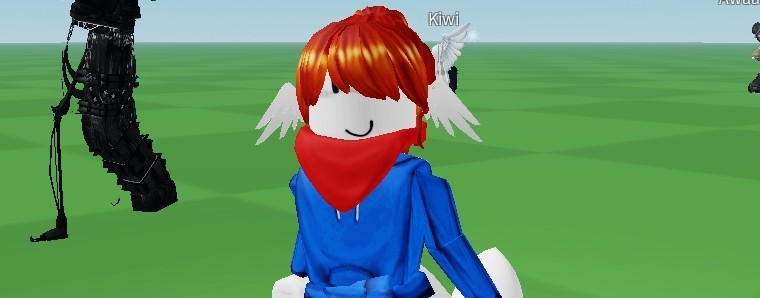 🏮Акорна. :D