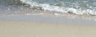 🩷 Лопушок 🩷