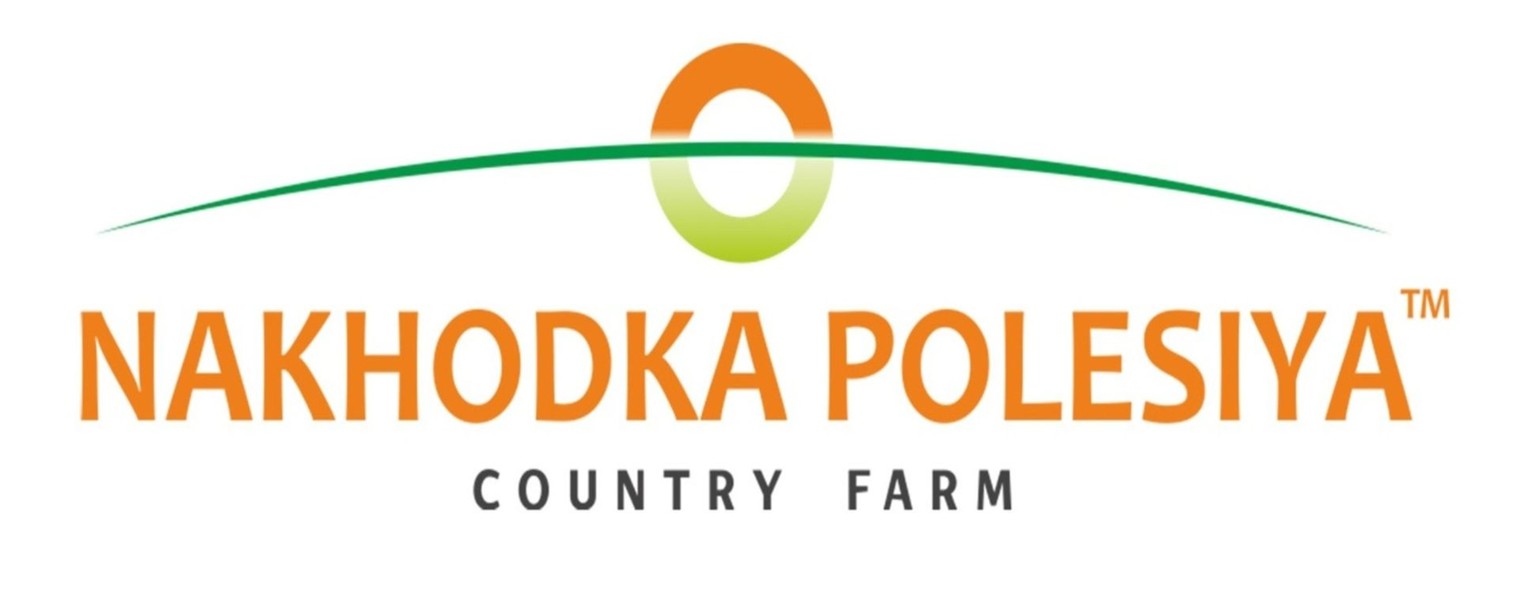 Находка Полесья