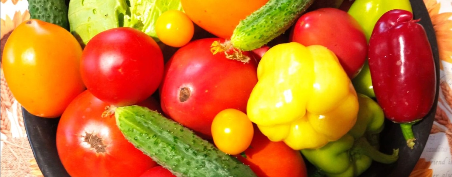 Мой сад, огород и не только!