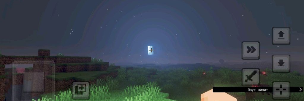 Уважаемый Мистер Гусь