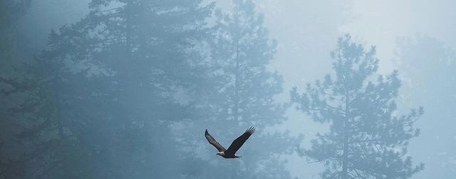 Просто Полезно.