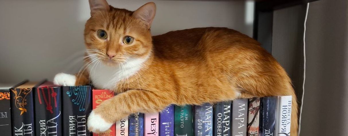 Кот Кузя и кошка Фара