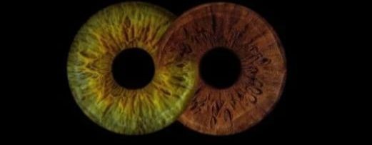 🪻🍄🫧Д_А_Ш_К_А🫧🍄🪻