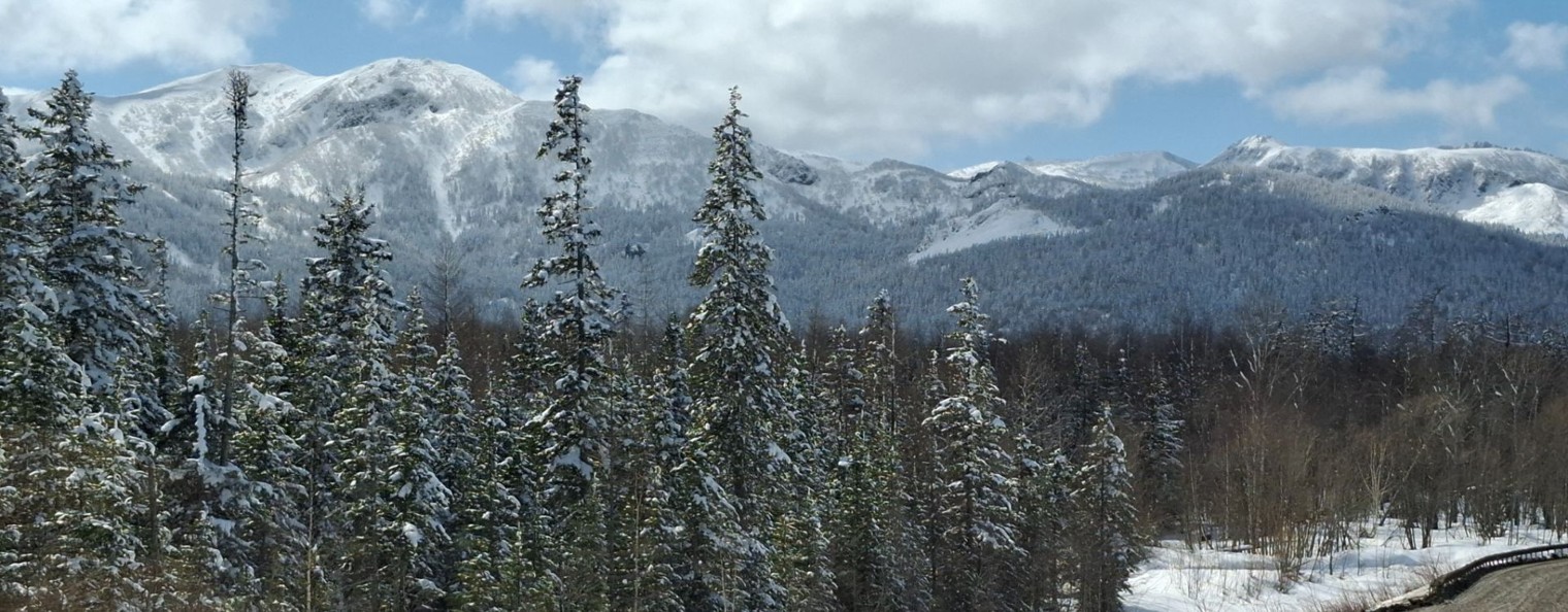 Дорога Жизнь - Жизнь Дорога