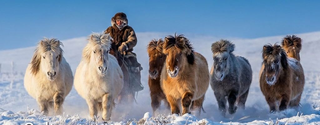 Alex Pudoff - Антропология Севера