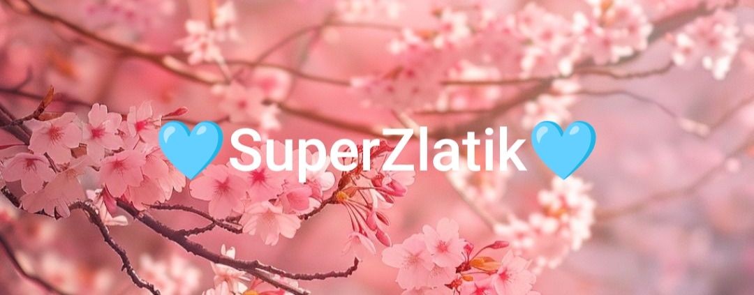 🩵SuperZlatik🩵