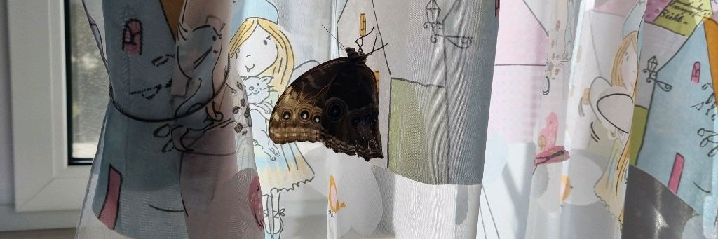 Соня и Бабочки!! 🩷