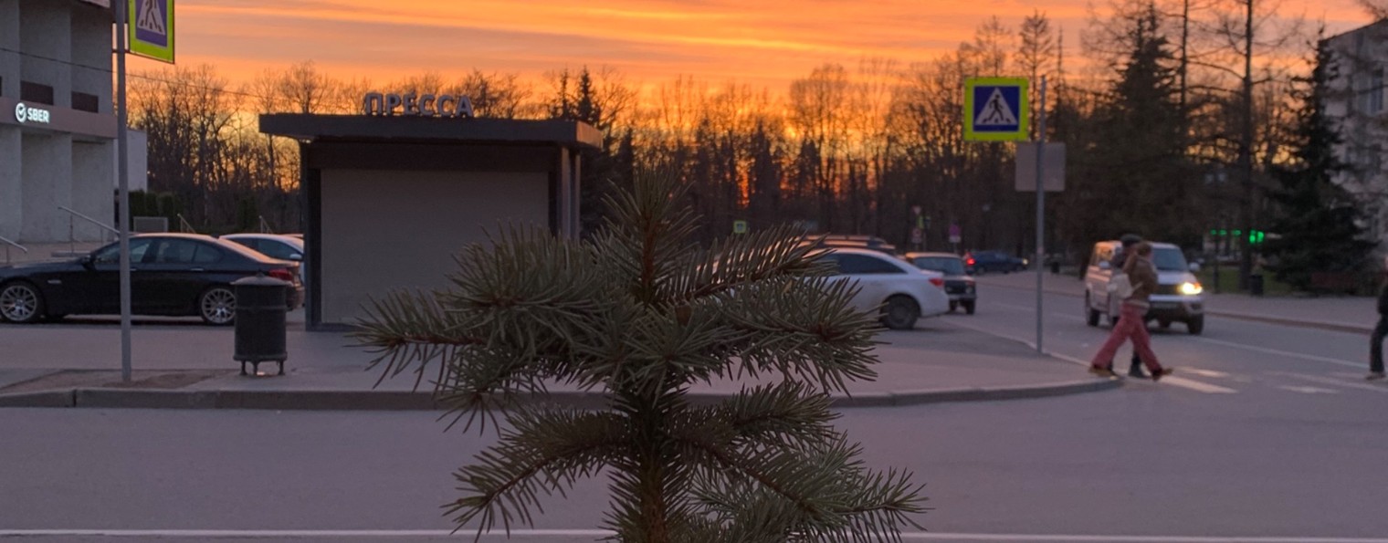 дорогой дневник