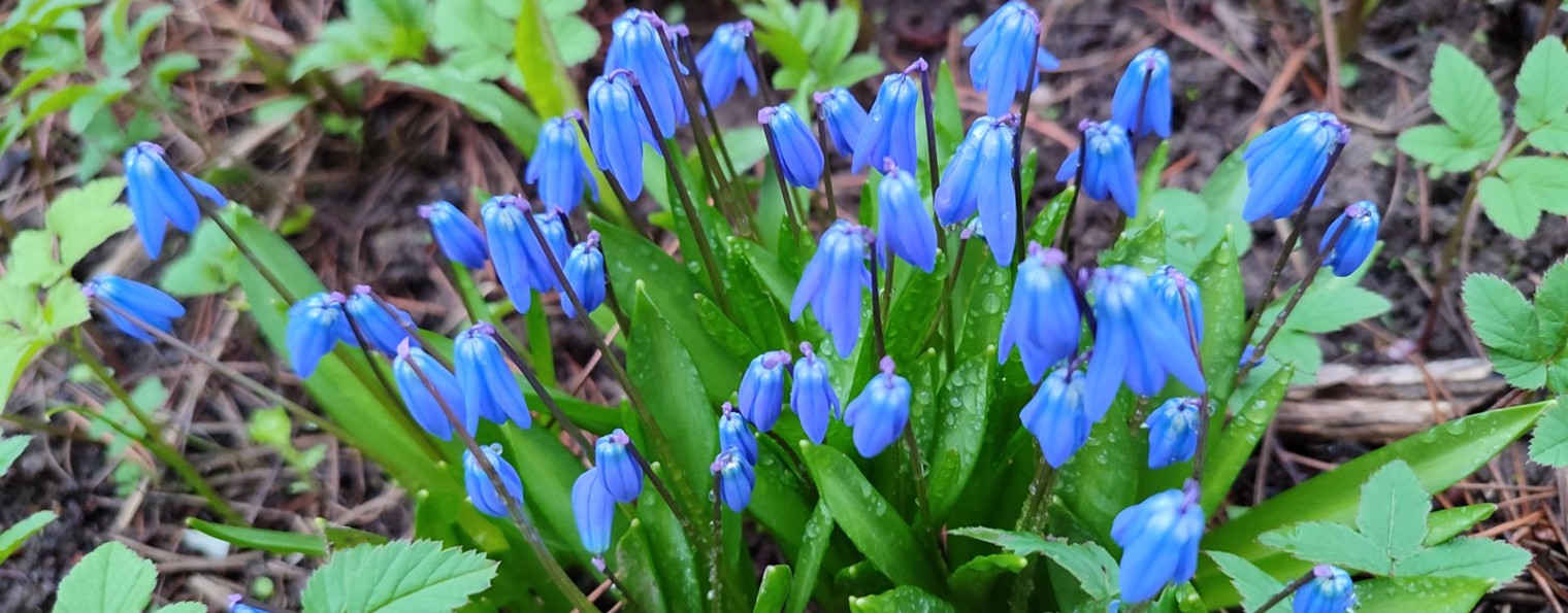 Марина Полякова