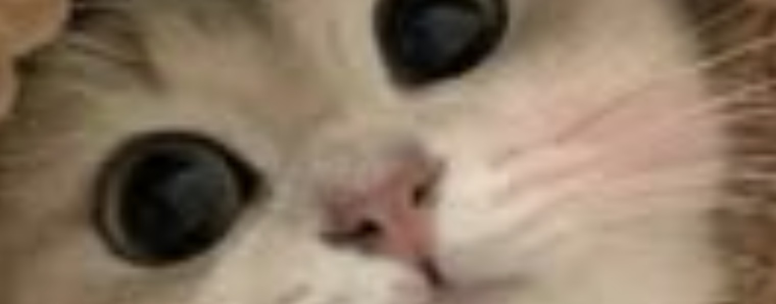 спортивный Витя