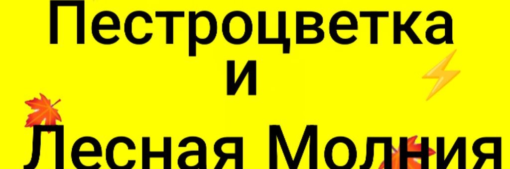 🍁Пестроцветка🍁 и ⚡Лесная Молния⚡.