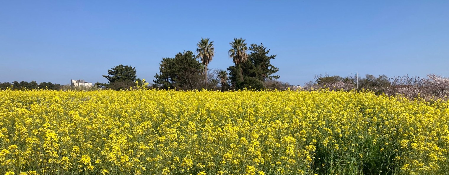 Моменты путешествий