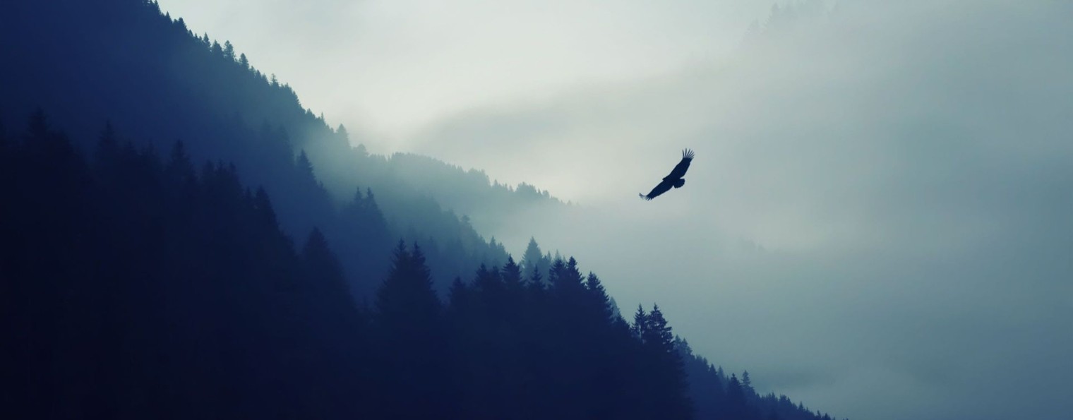 Андрей Вознесенский-Мещерский