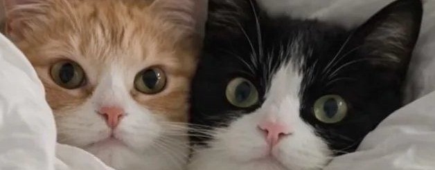 💫≤Мuлaдecь≥💫