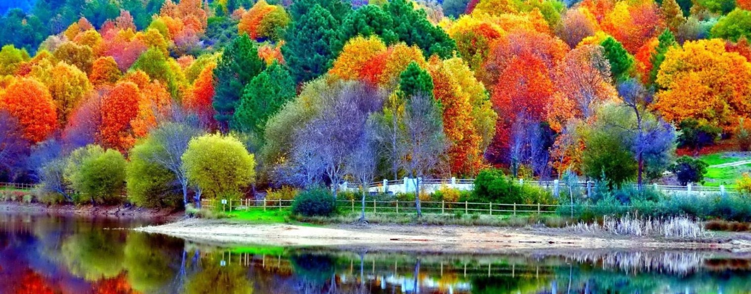 #РаЗнОцВеТнЫй МиР#