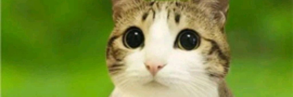 🇷🇺😃Pavel23SWR😃🇷🇺