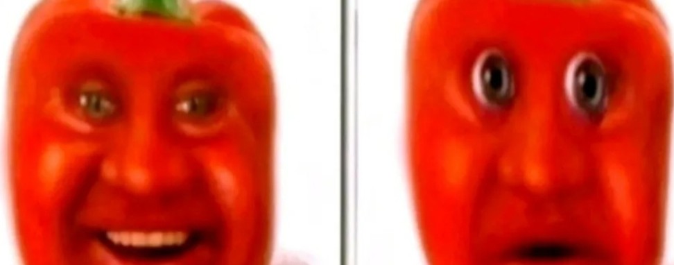 животный юмор