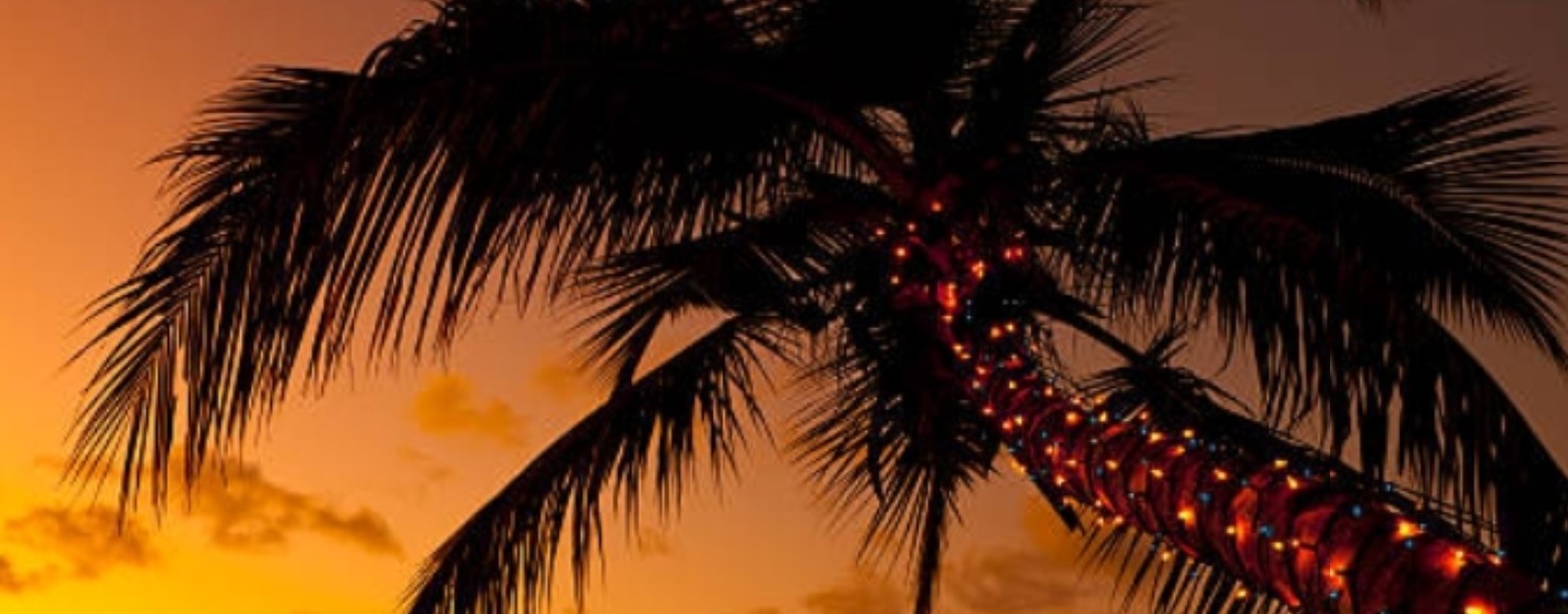 ❤️🌹Anna🥀❤️ Avatar World