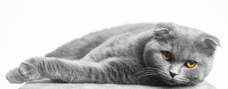 Сибикеев Владимр