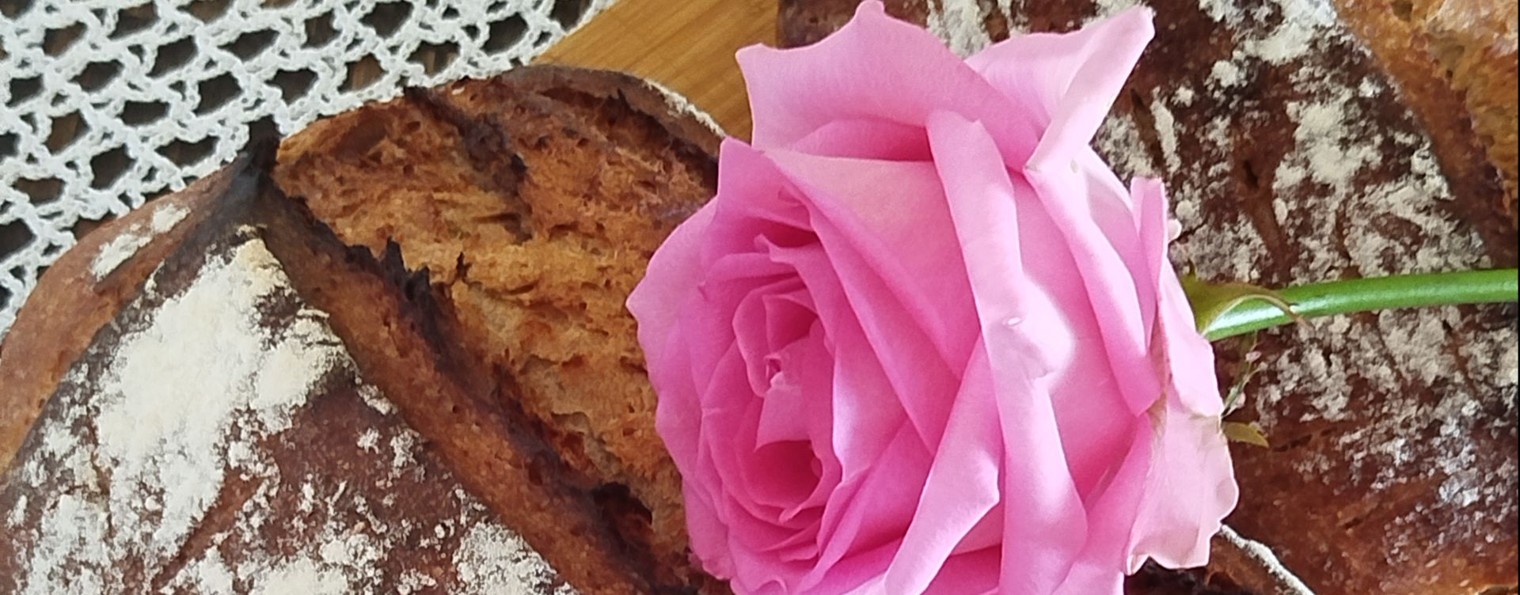 Мудрая овечка #100