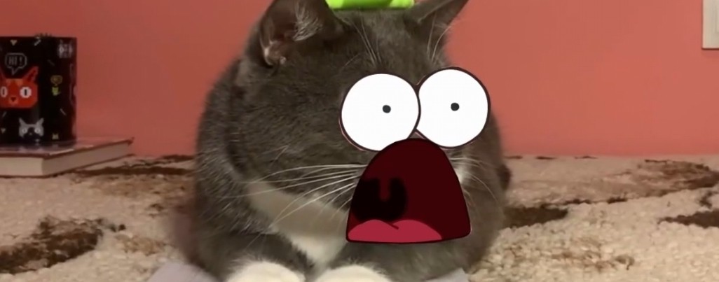 Валера паласатик