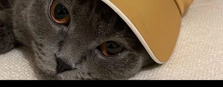 Развивайки