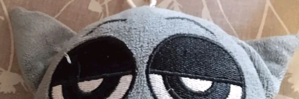 Супер Котик😻☑️