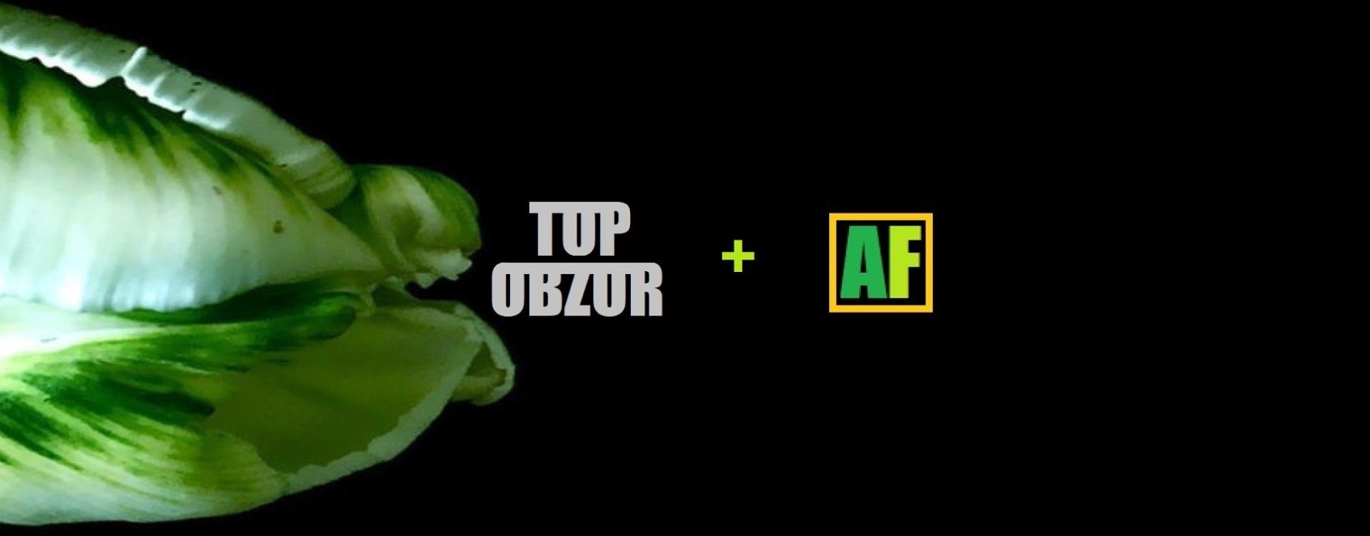 ASIA FILMS / TOP OBZOR